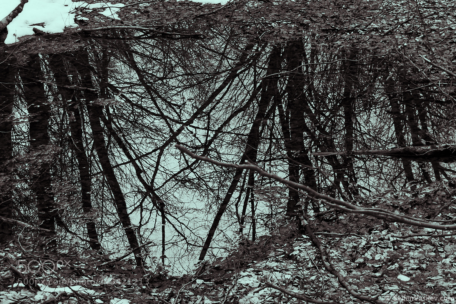 Sony a6000 sample photo. Forest mirror photography