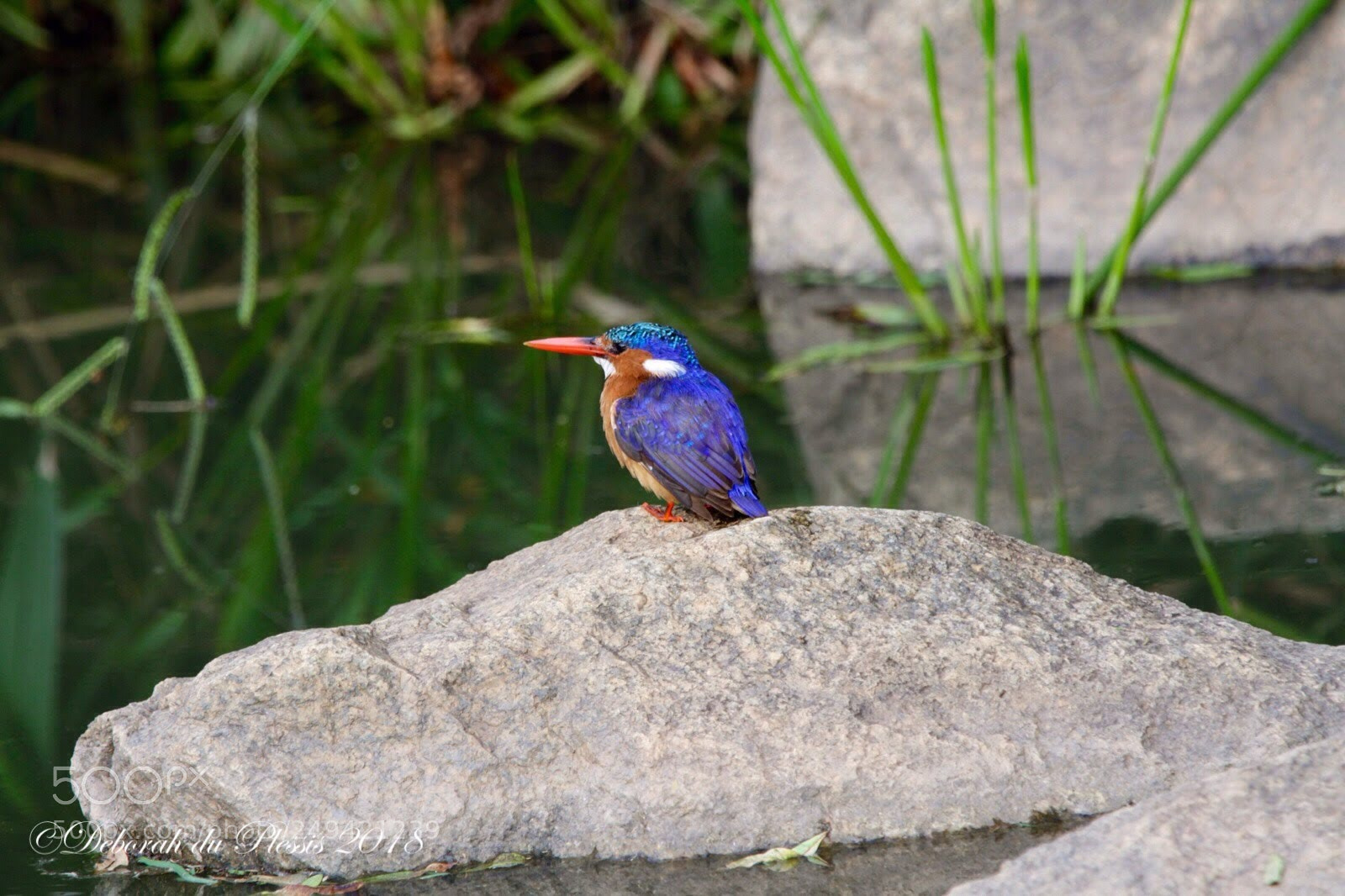 Canon EOS 7D sample photo. Small beauty photography
