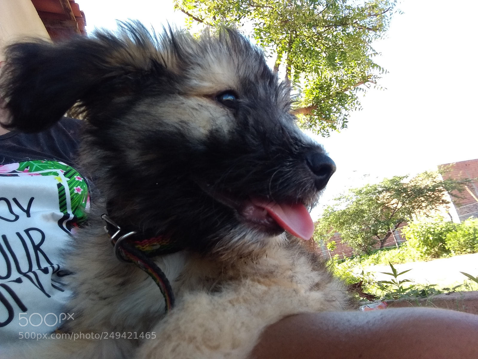 Motorola Moto G (5S) Plus sample photo. Untitled photography