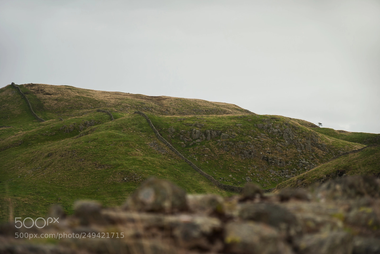 Nikon D60 sample photo. Hadrian's wall photography
