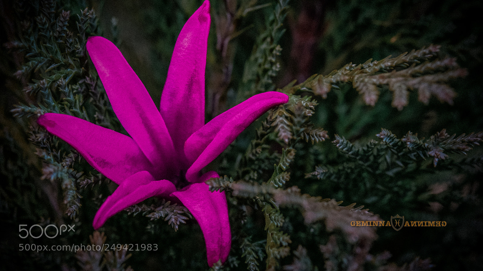 Nikon D5300 sample photo. Night princess photography