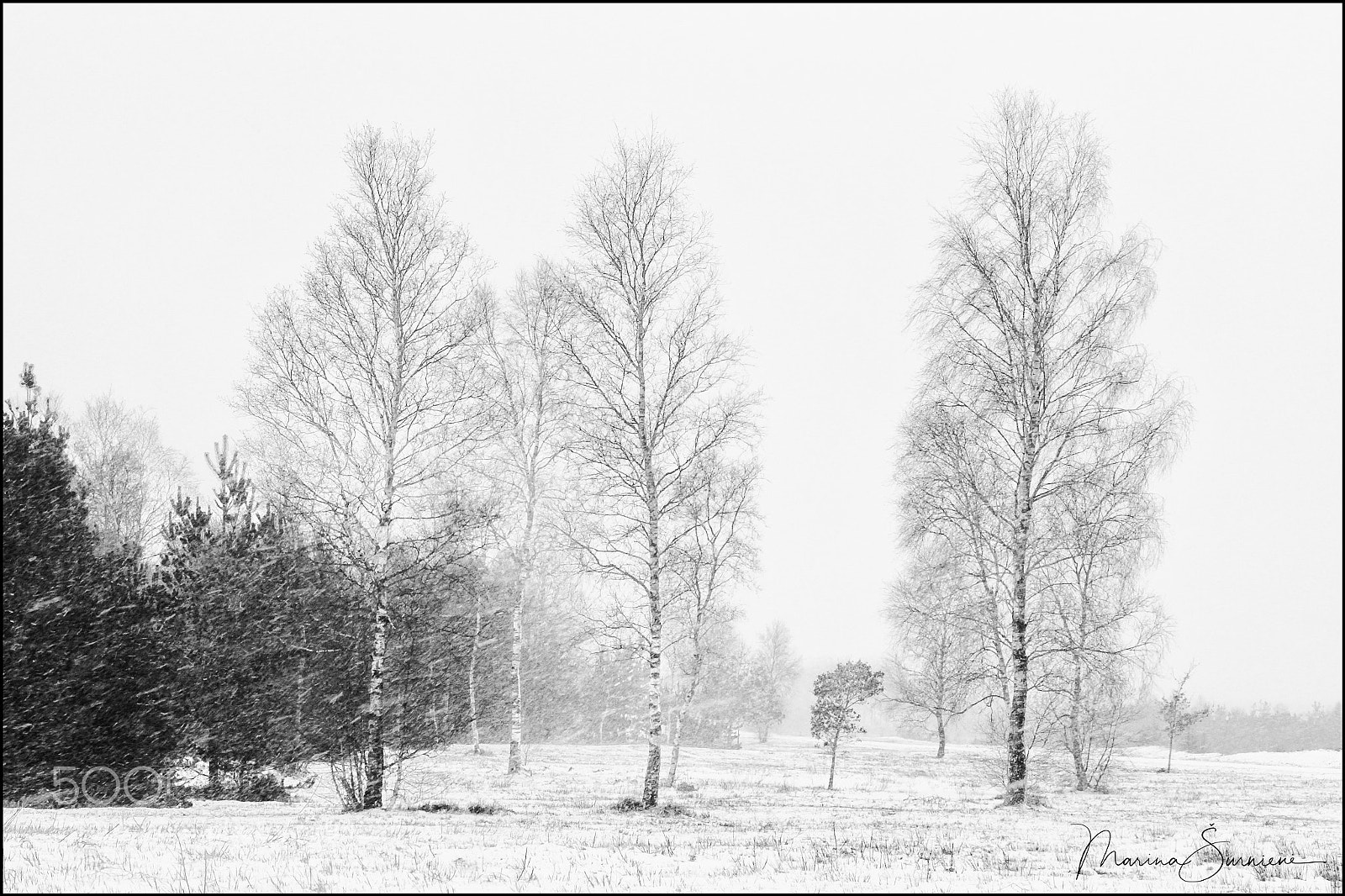 Canon EOS 7D sample photo. Winter photography