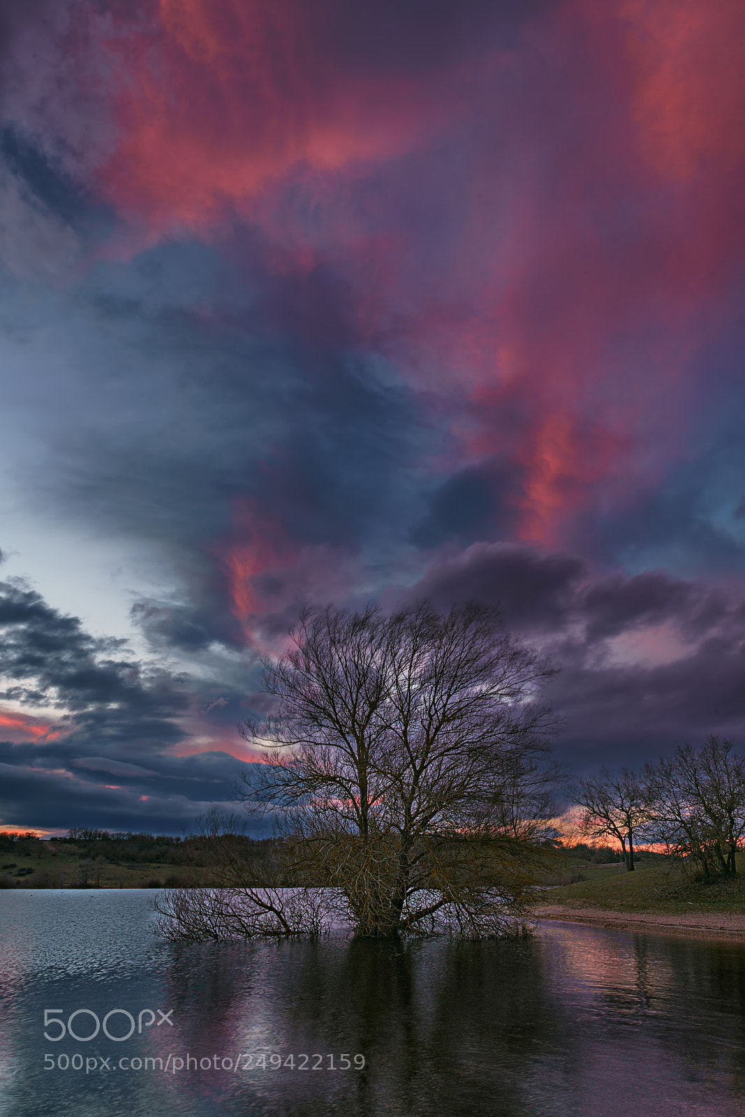 Sony a7R II sample photo. South wind photography