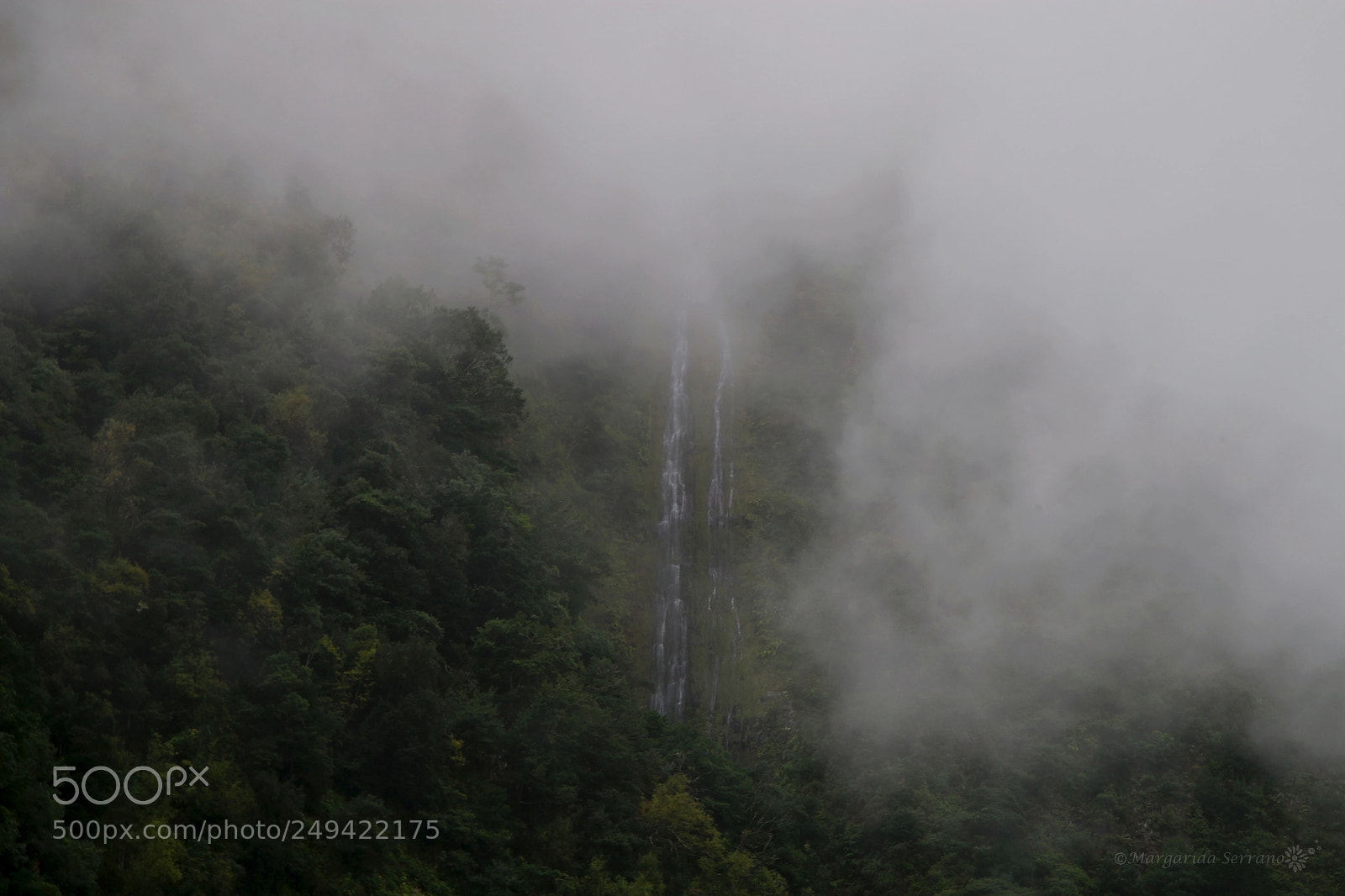 Canon EOS 70D sample photo. Fog... photography