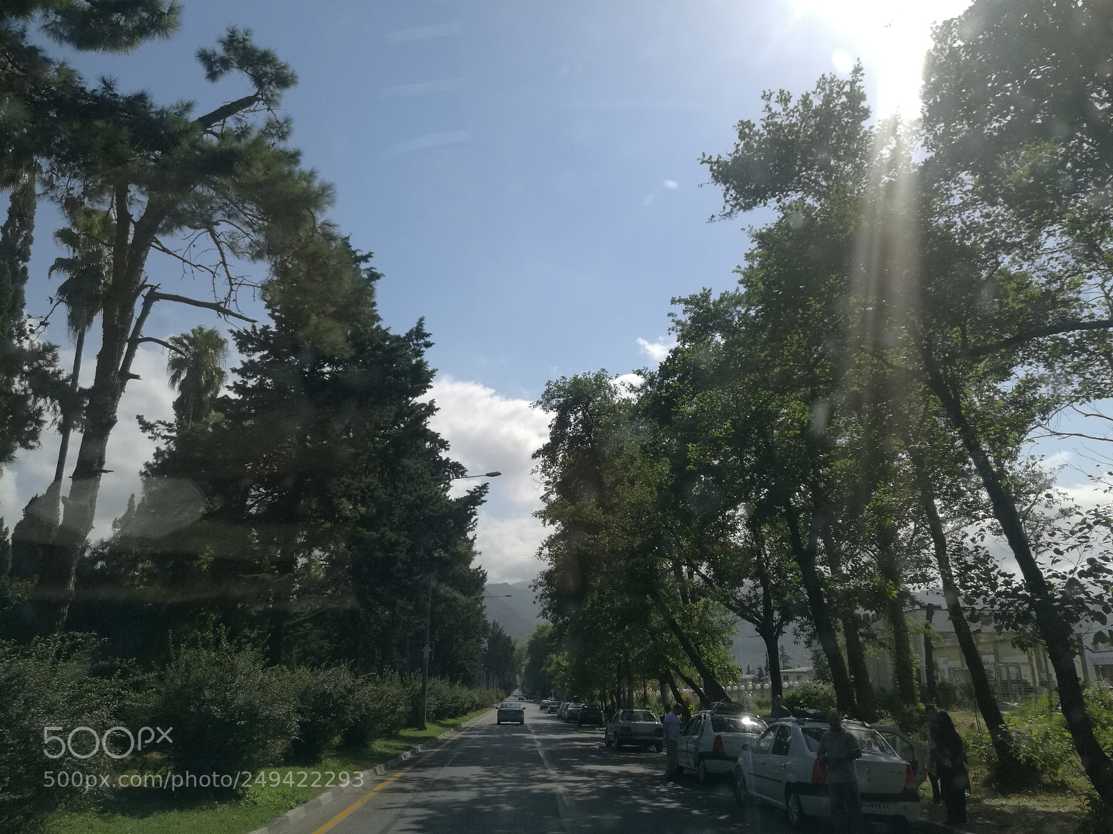 HUAWEI Mate 8 sample photo. Nature photography