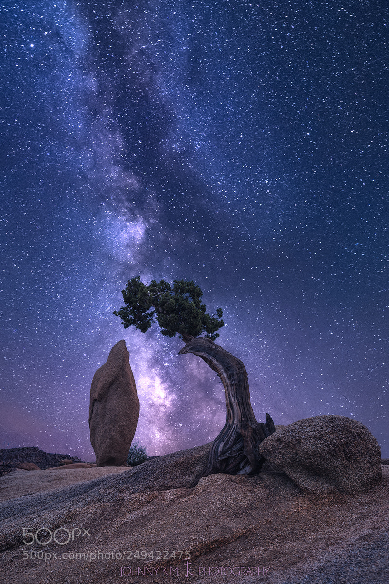 Nikon D810 sample photo. The star of david photography