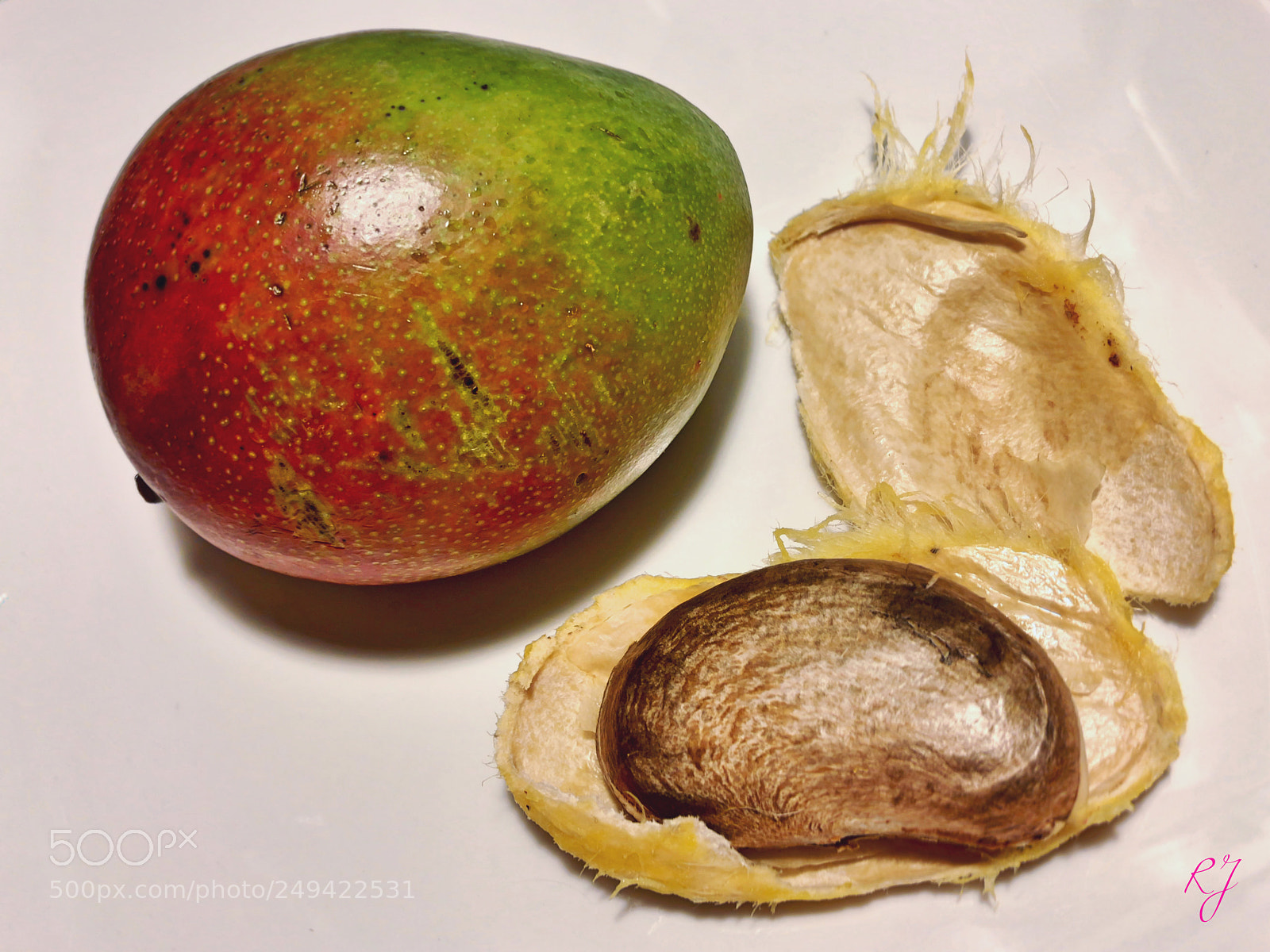 Apple iPhone X sample photo. Mango reborn photography