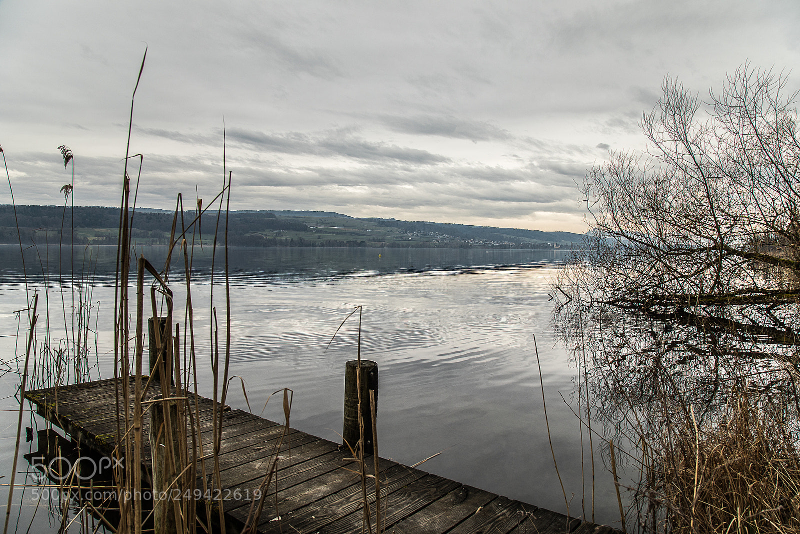 Canon EOS 5D Mark IV sample photo. Enjoy the silence photography
