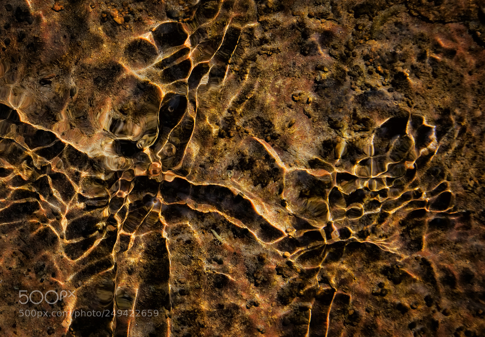Nikon D5200 sample photo. Dancing figures in oak photography