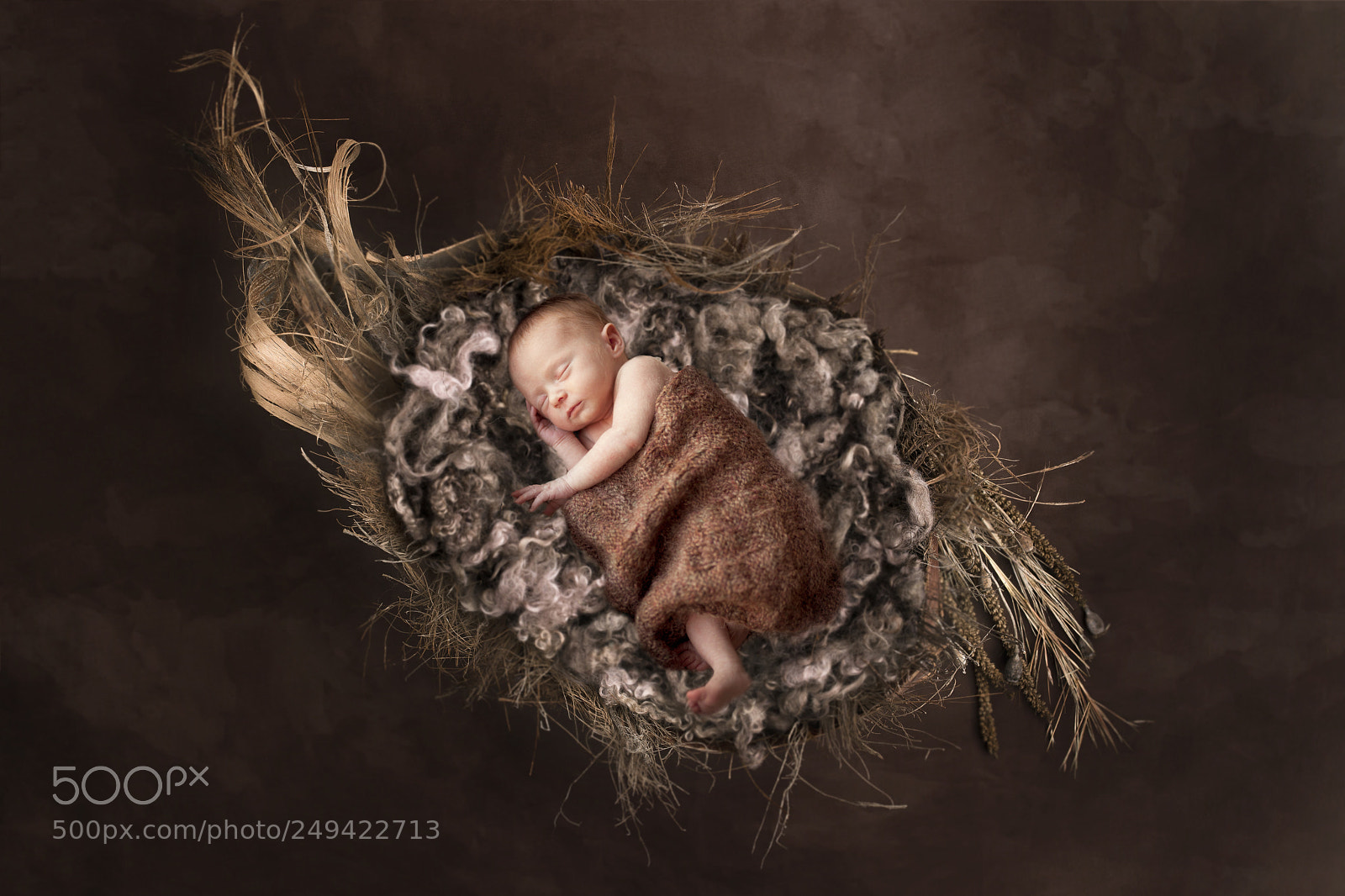 Nikon D800 sample photo. 10 days old photography