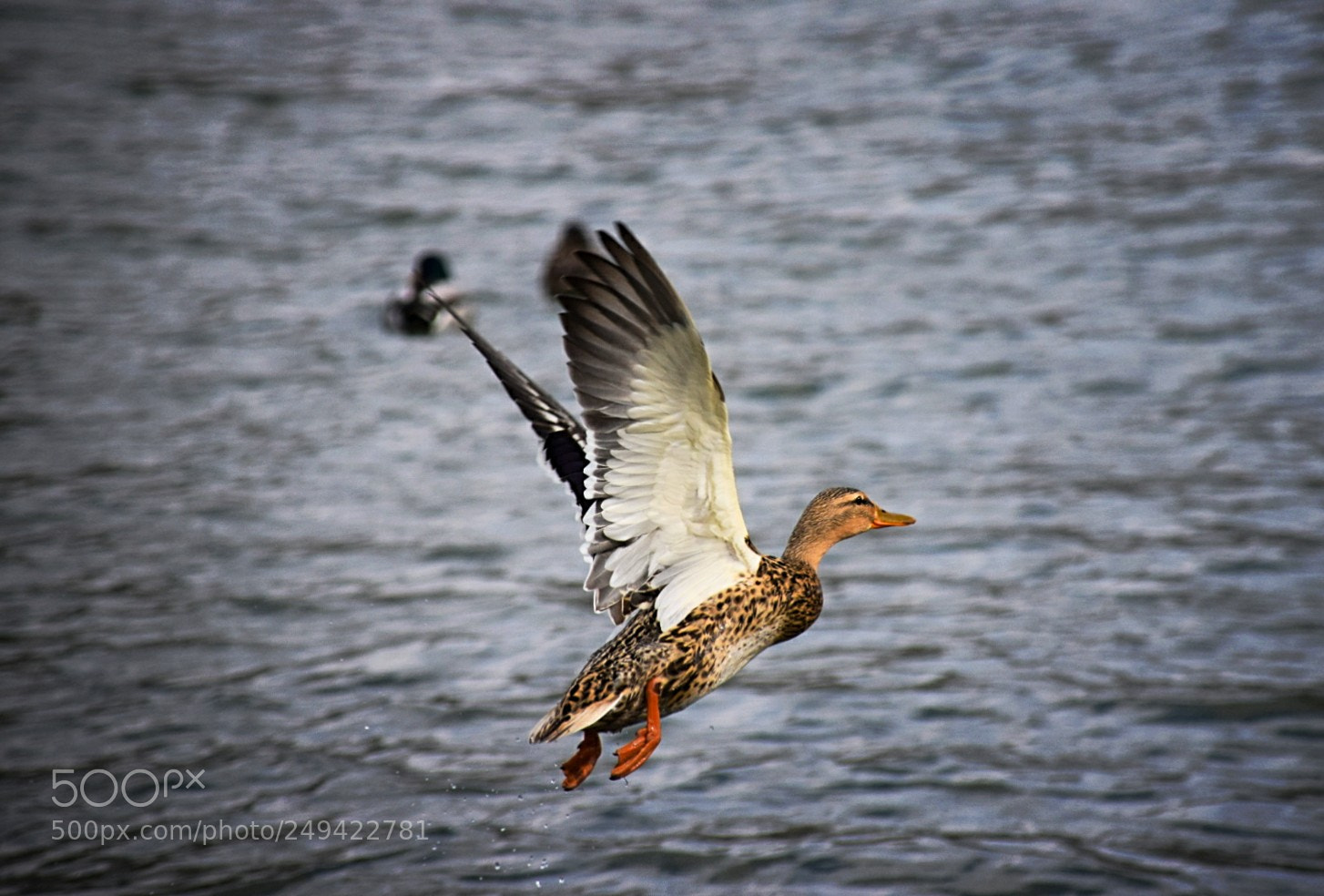 Nikon D5300 sample photo. Abflug! photography