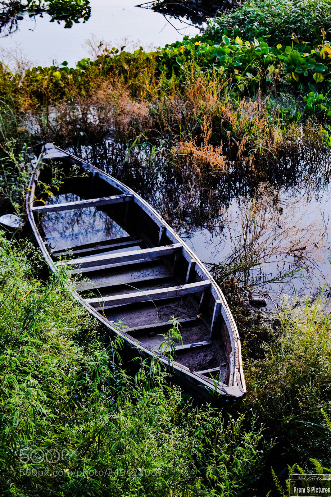 Nikon D3300 sample photo. In the vibrance of photography