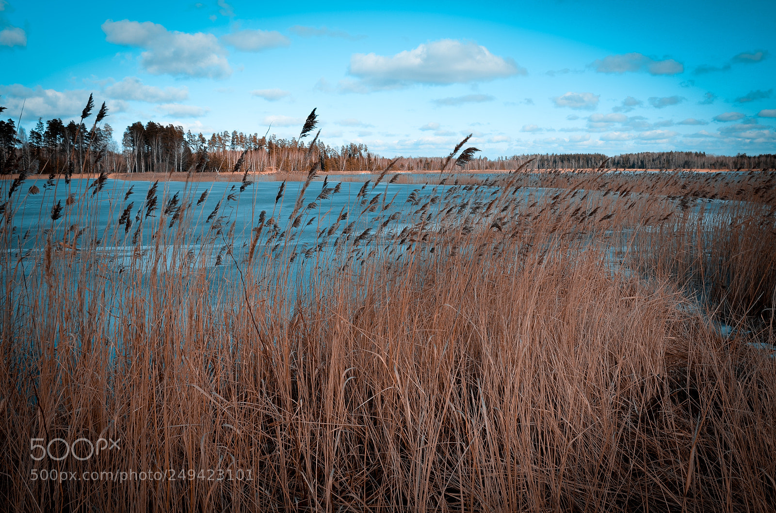 Nikon D5100 sample photo. March cold photography