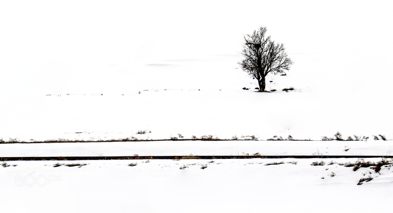 Canon EOS 70D sample photo. Winter ... photography