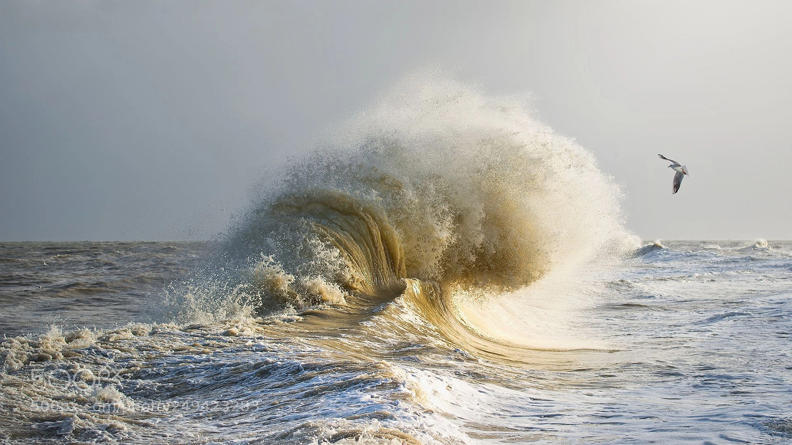 Nikon D610 sample photo. La vague photography