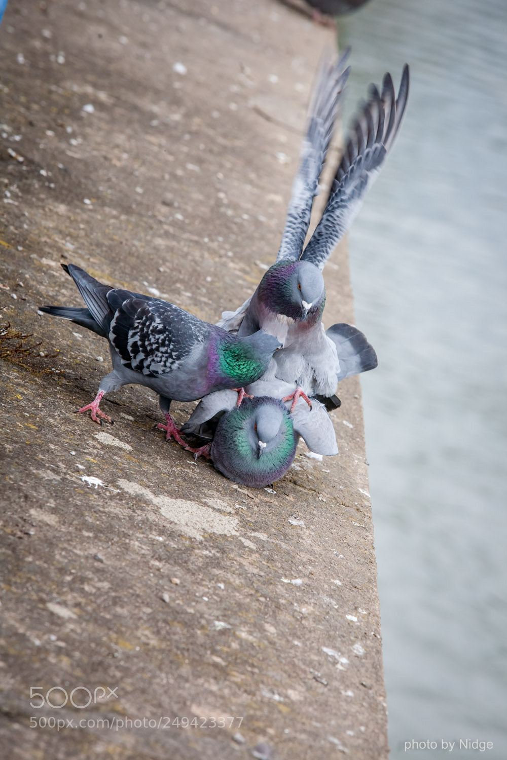 Canon EOS 5D sample photo. That's my girl... photography