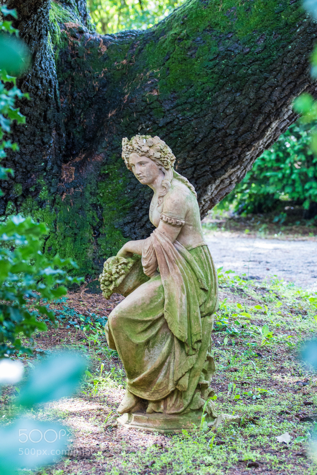 Nikon D7200 sample photo. Statue in tre nature photography