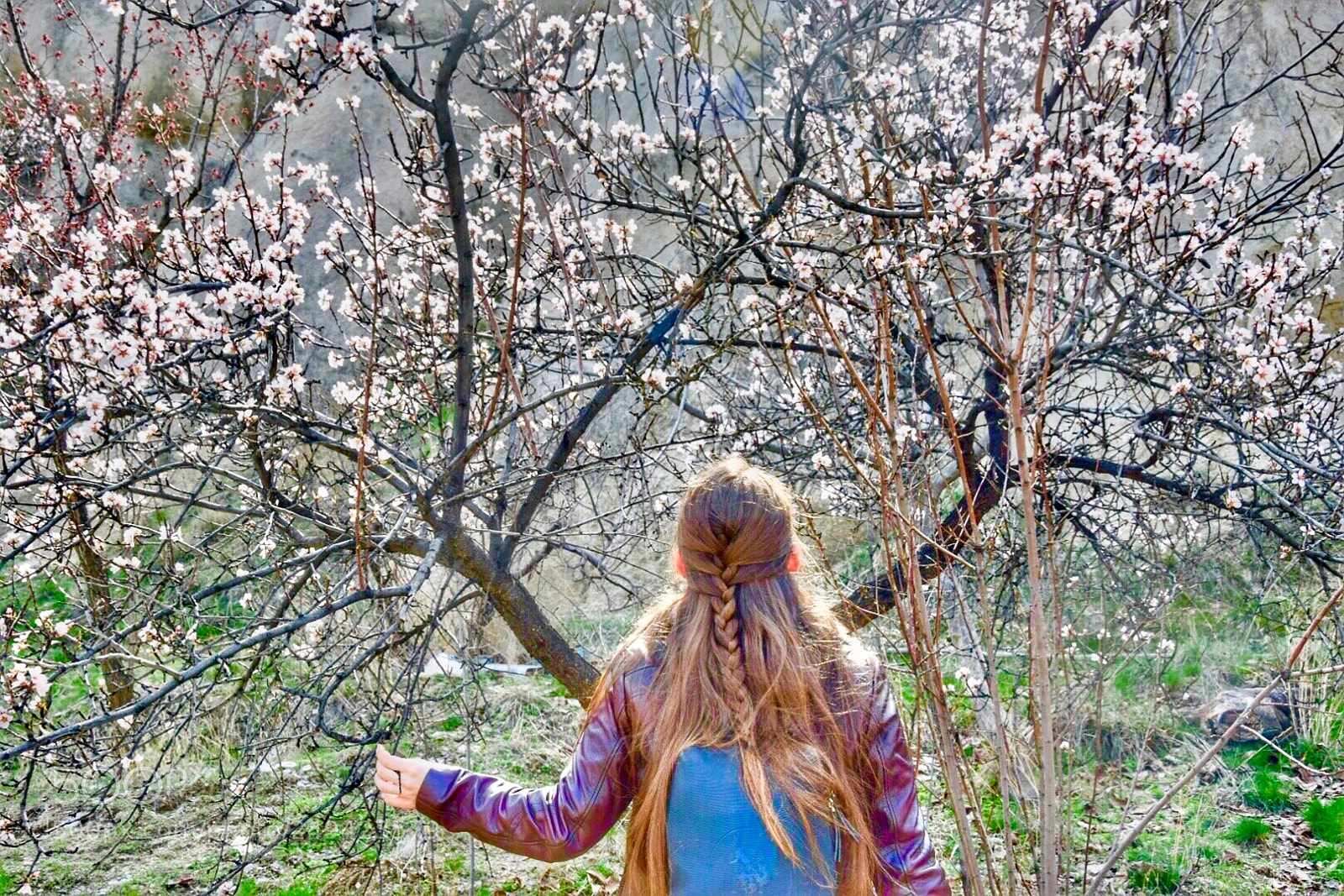 Nikon D5300 sample photo. Shine shine photography