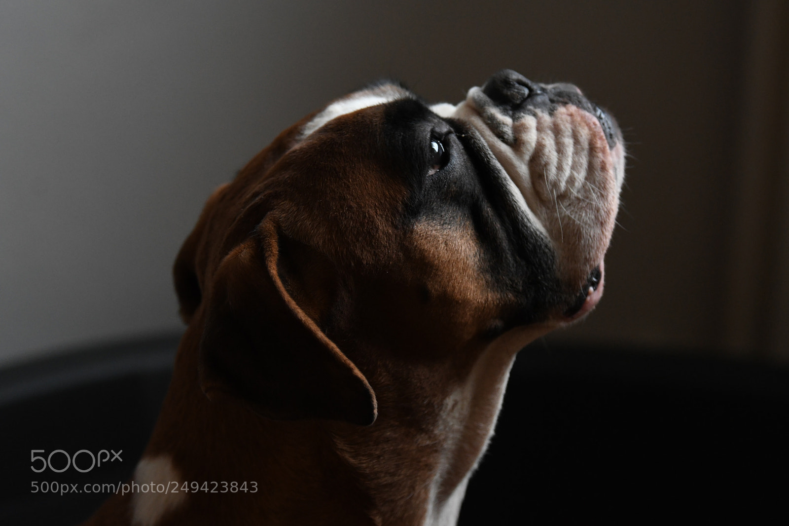 Nikon D7500 sample photo. Untitled photography