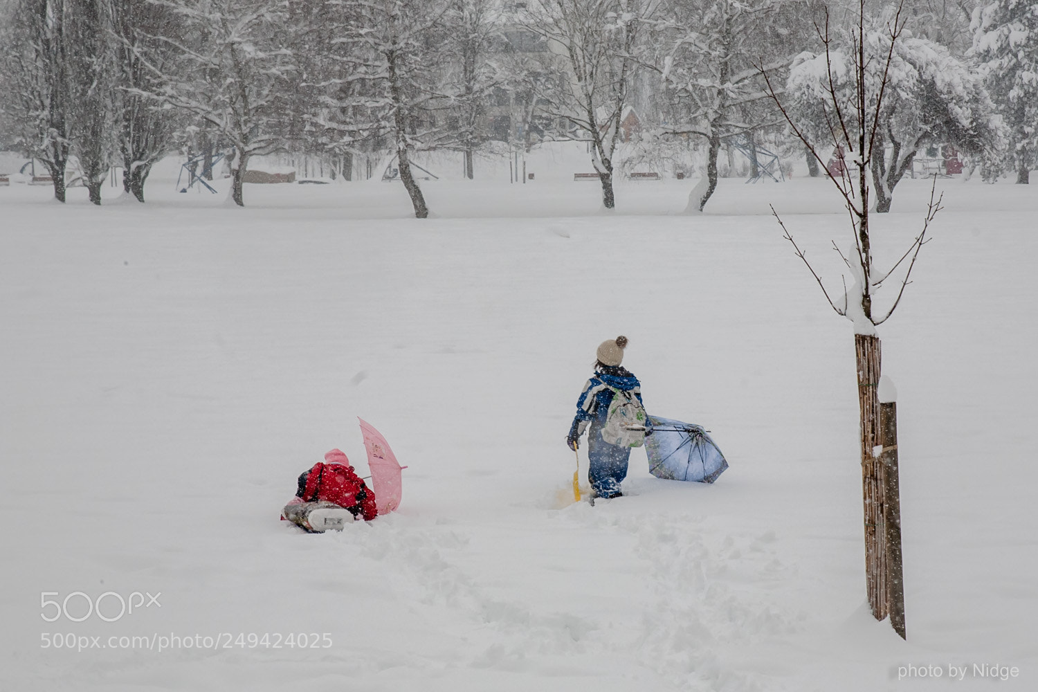 Canon EOS 5D sample photo. Playing in the snow photography