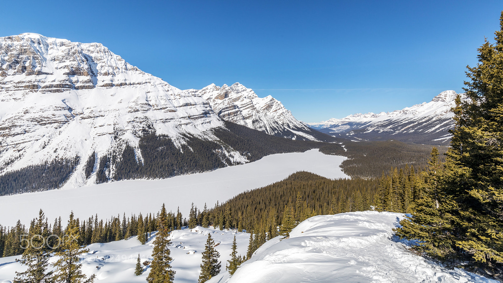 Canon EOS 5D Mark IV sample photo. Snow covered peyto lake photography