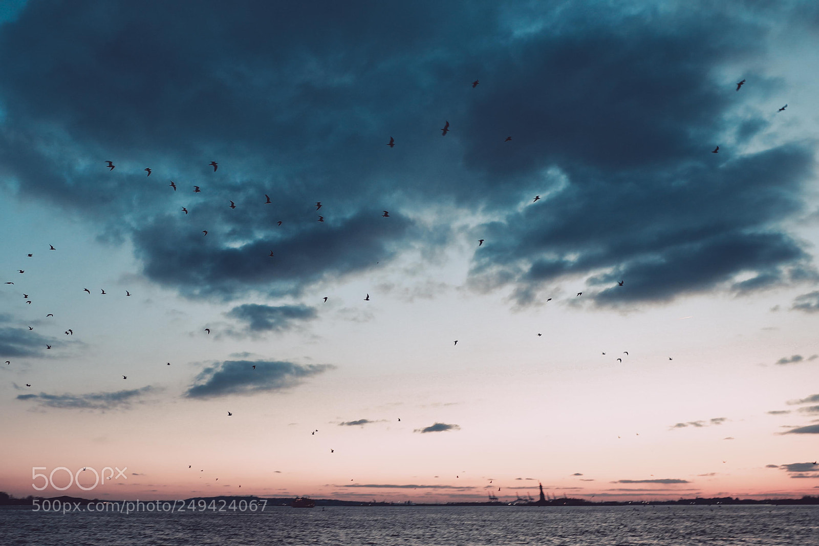 Canon EOS 5D Mark IV sample photo. Birds & sunset photography