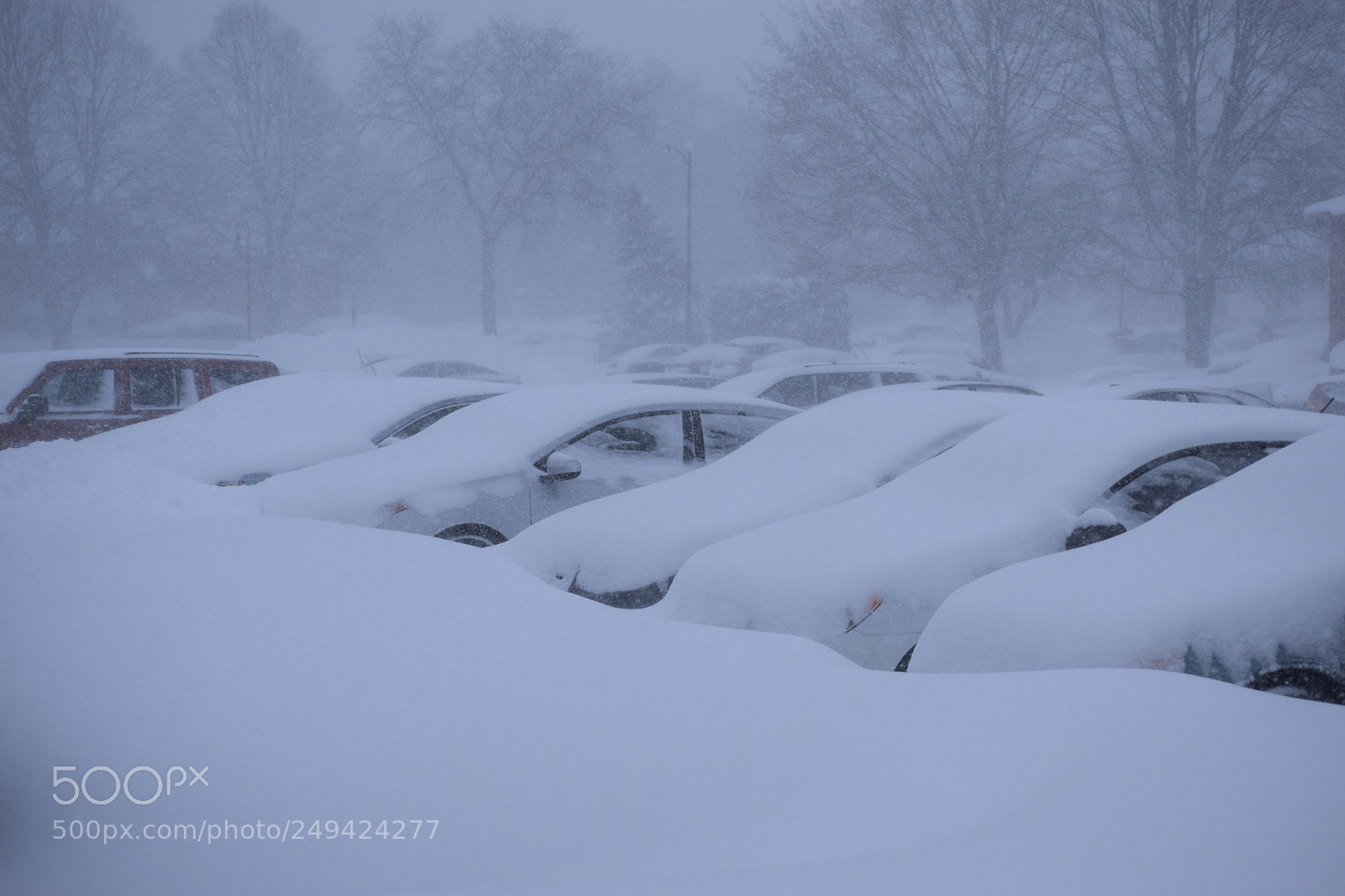 Nikon D5300 sample photo. Snow & silence photography