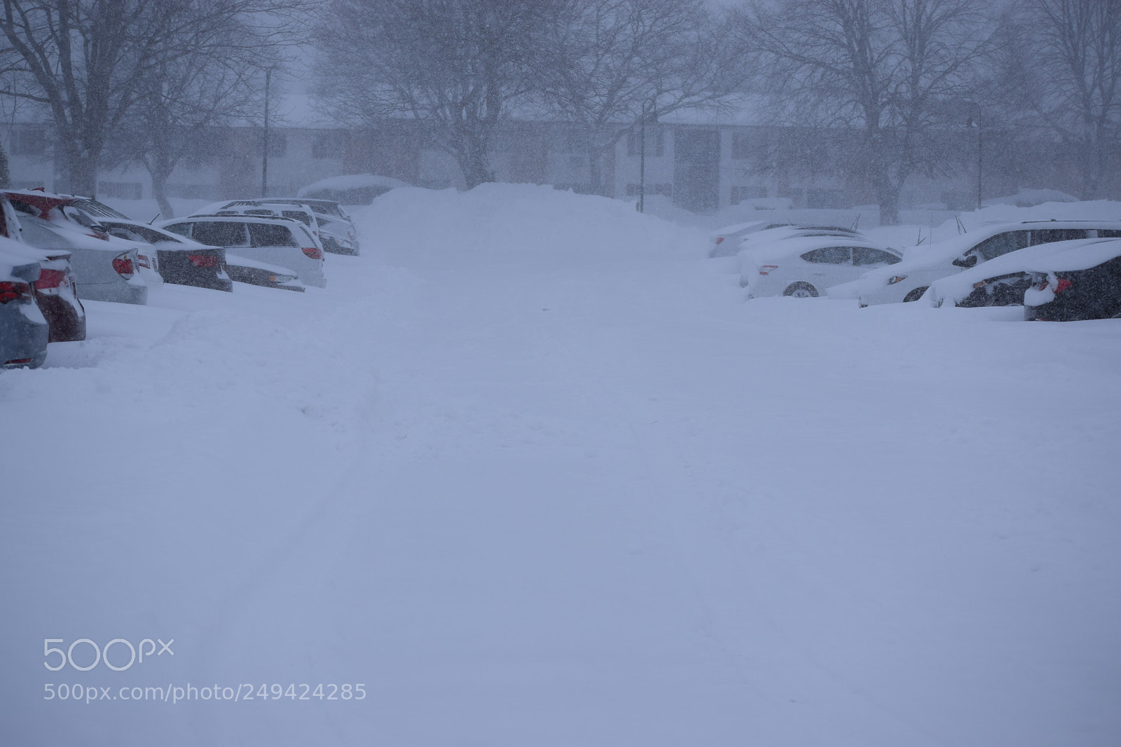 Nikon D5300 sample photo. Snow & silence photography