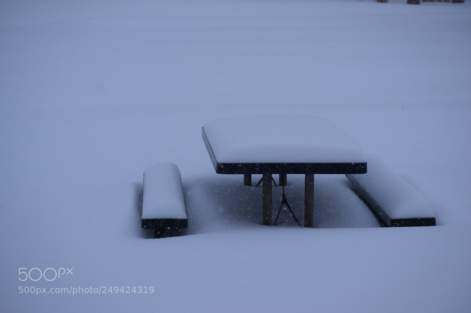 Nikon D5300 sample photo. Snow & silence photography