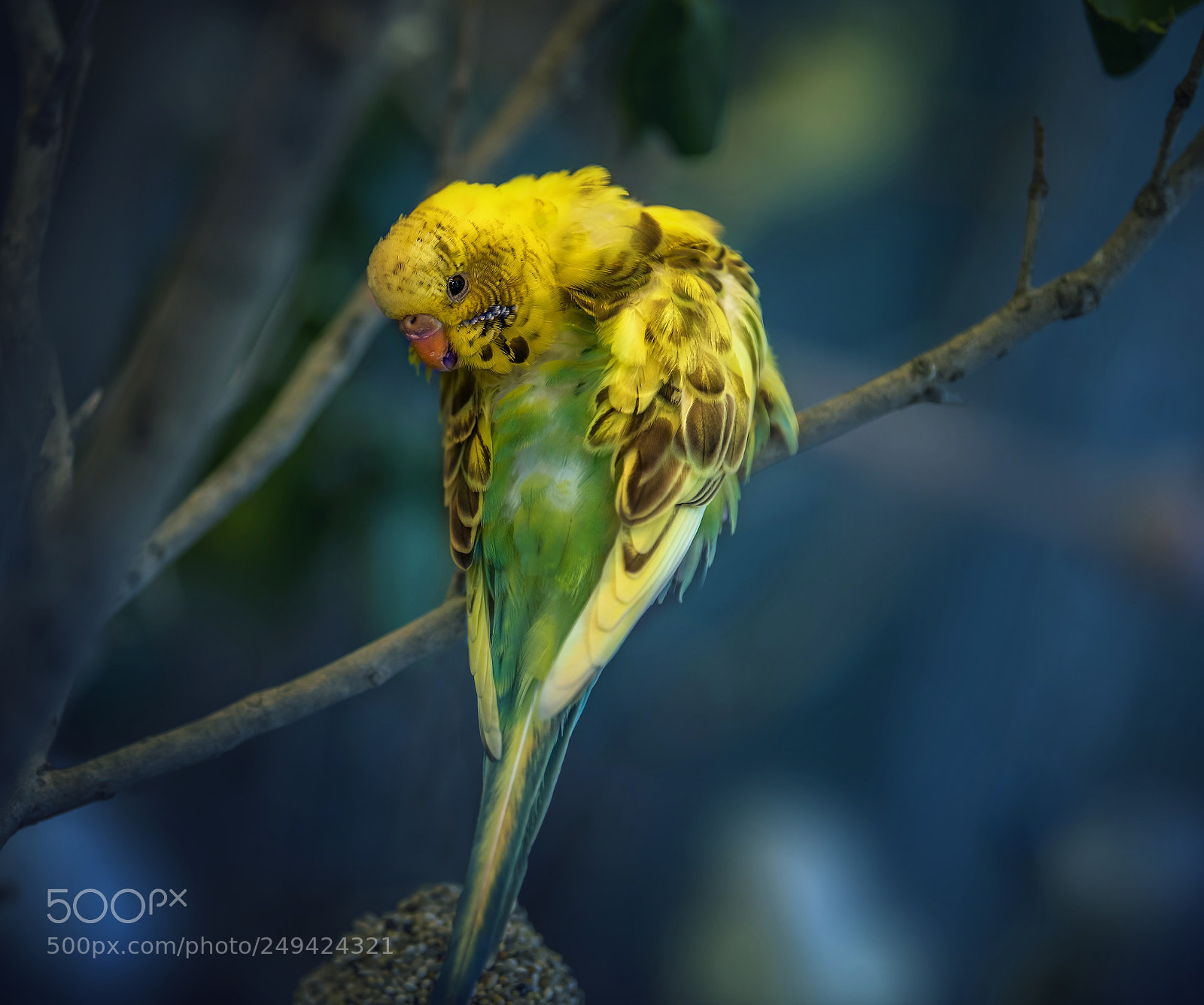 Nikon D810 sample photo. Untitled photography