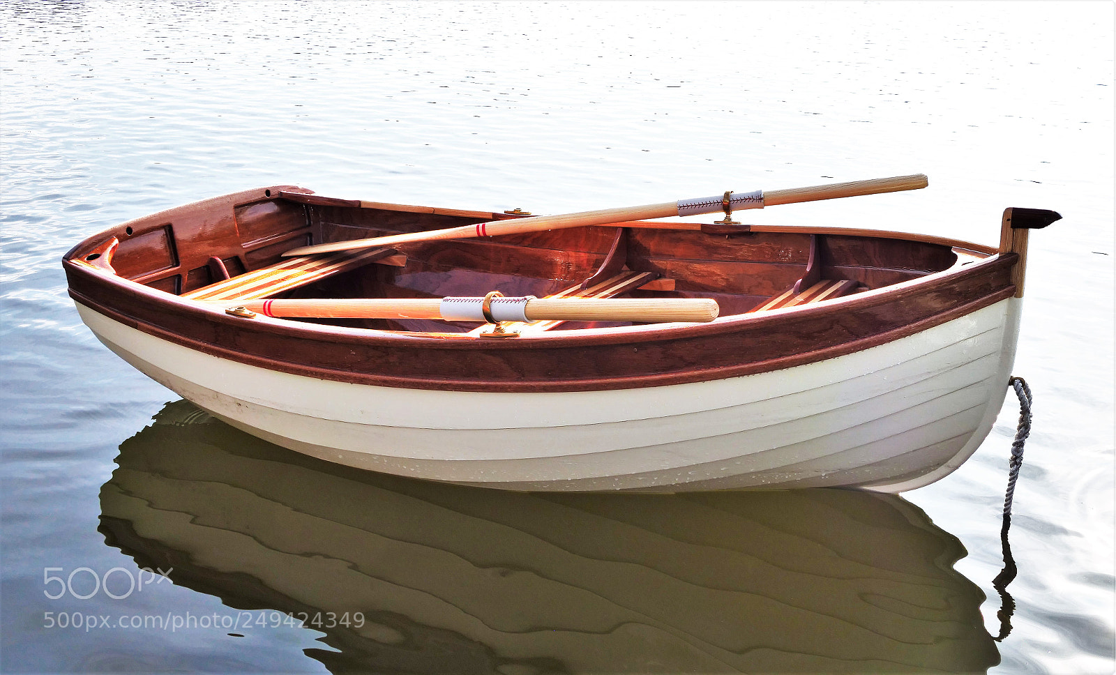 Panasonic Lumix DC-GH5 sample photo. First water for auklet photography