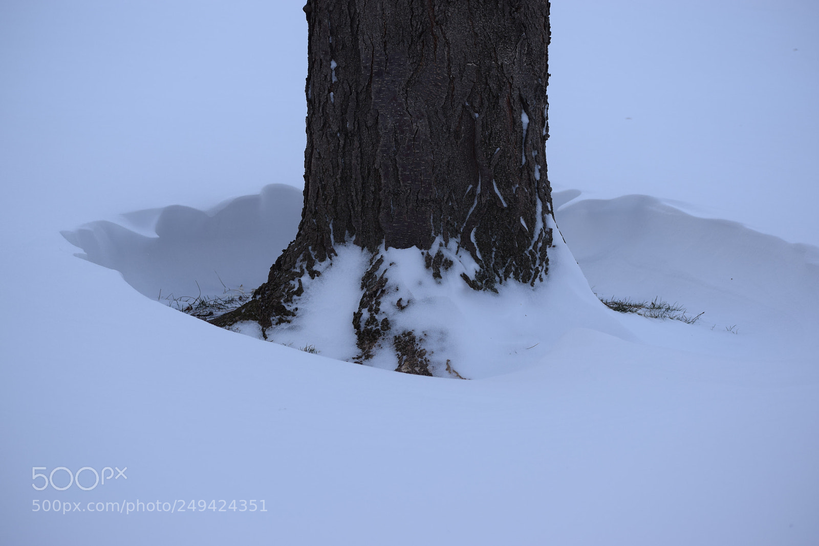 Nikon D5300 sample photo. Snow & silence photography