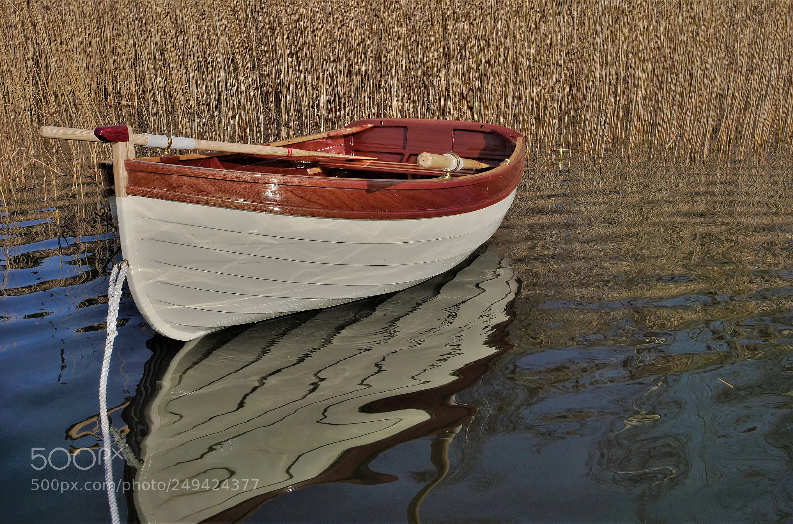 Panasonic Lumix DC-GH5 sample photo. First water for auklet photography
