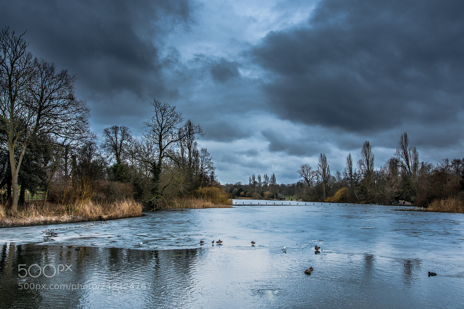 Nikon D500 sample photo. Cloudy hyde park photography