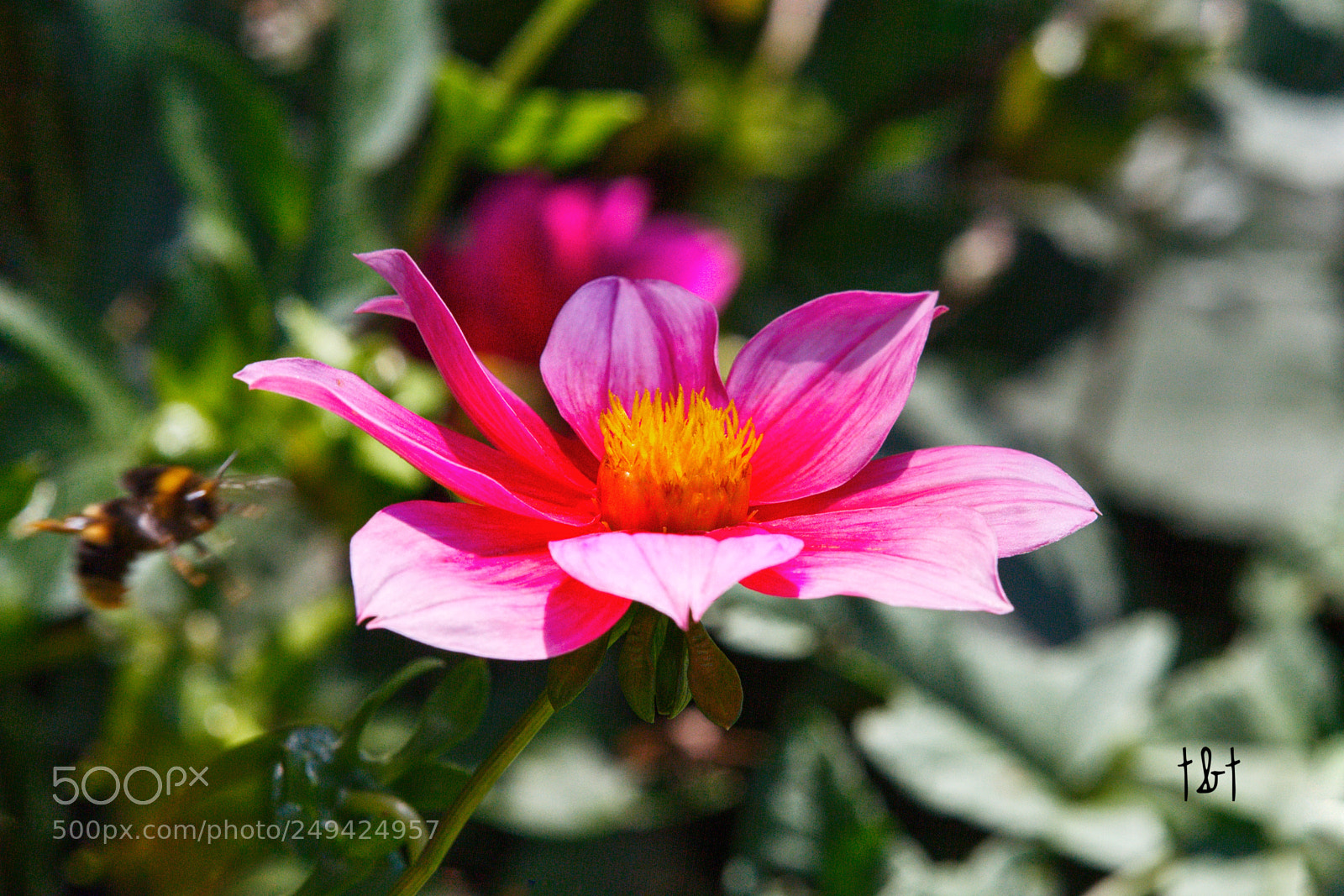 Canon EOS 7D sample photo. Untitled photography