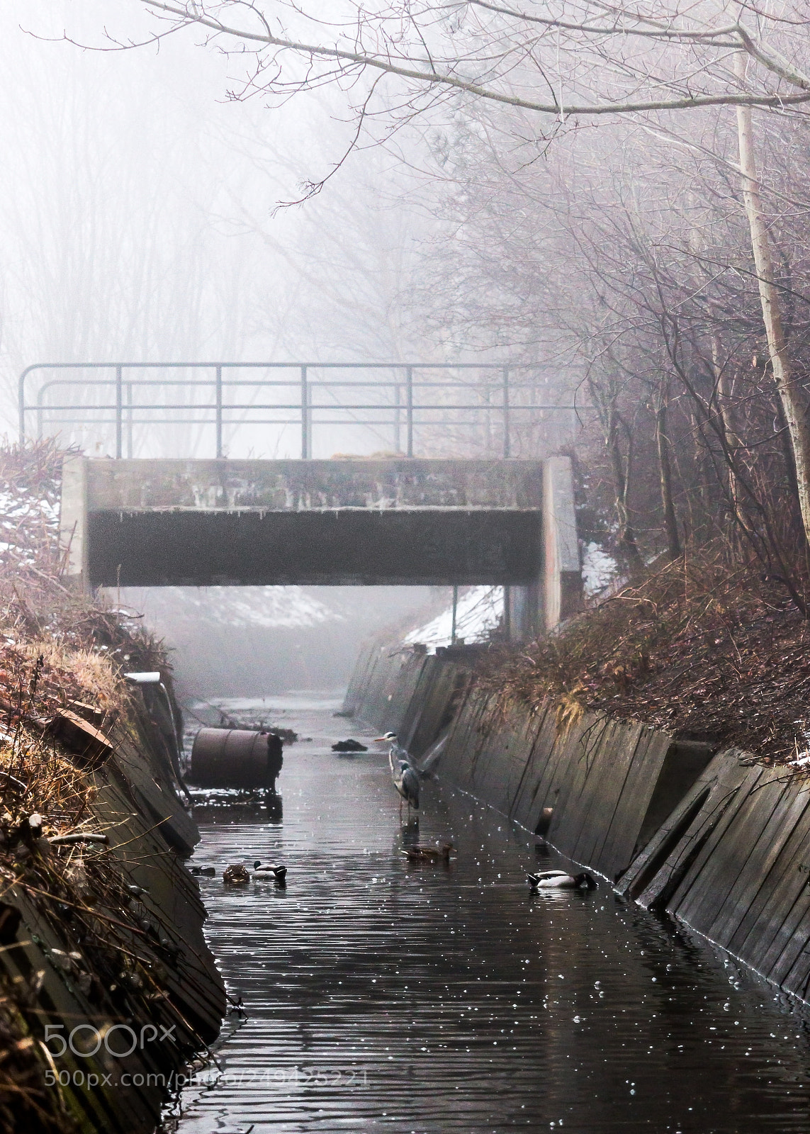 Canon EOS 70D sample photo. Under the bridge photography