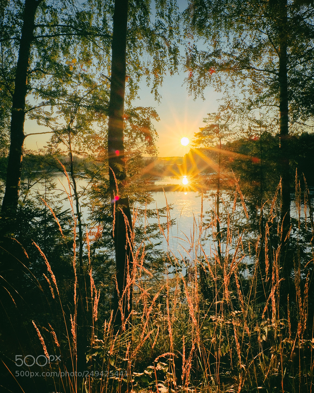Fujifilm X-T20 sample photo. On the sunset.На закате. photography