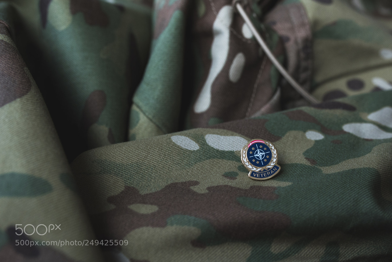 Nikon D810 sample photo. Danish veteran pin photography