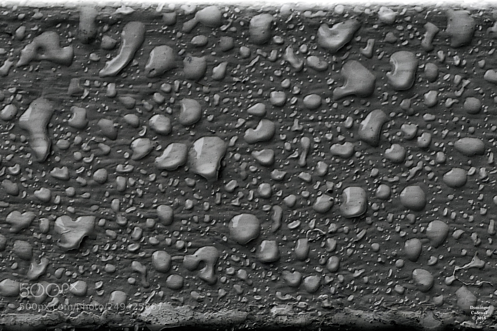 Olympus OM-D E-M10 II sample photo. Gotas - drops photography