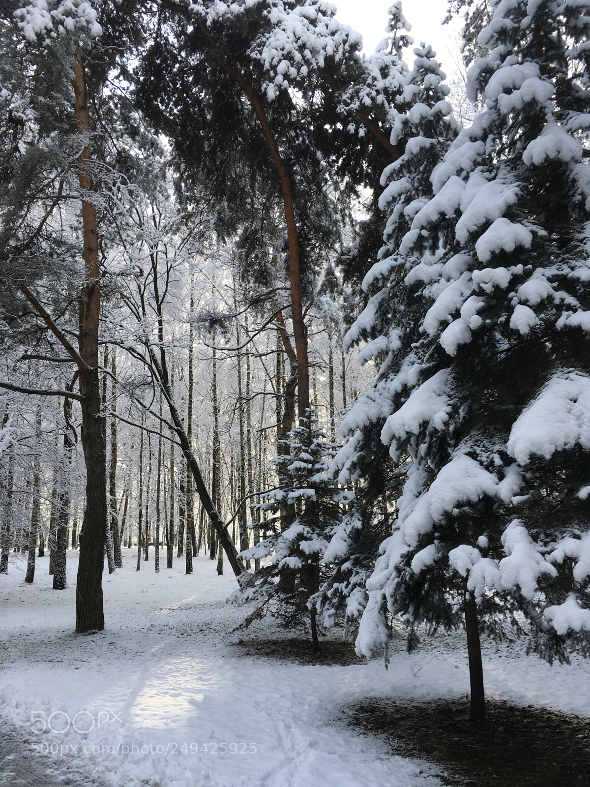 Apple iPad Pro sample photo. Parks of minsk photography