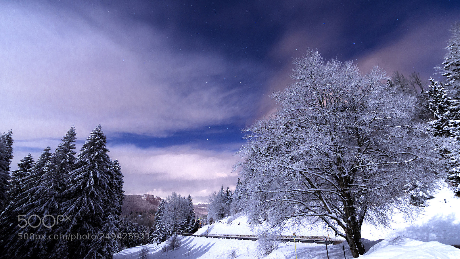 Nikon D7000 sample photo. Frozen photography