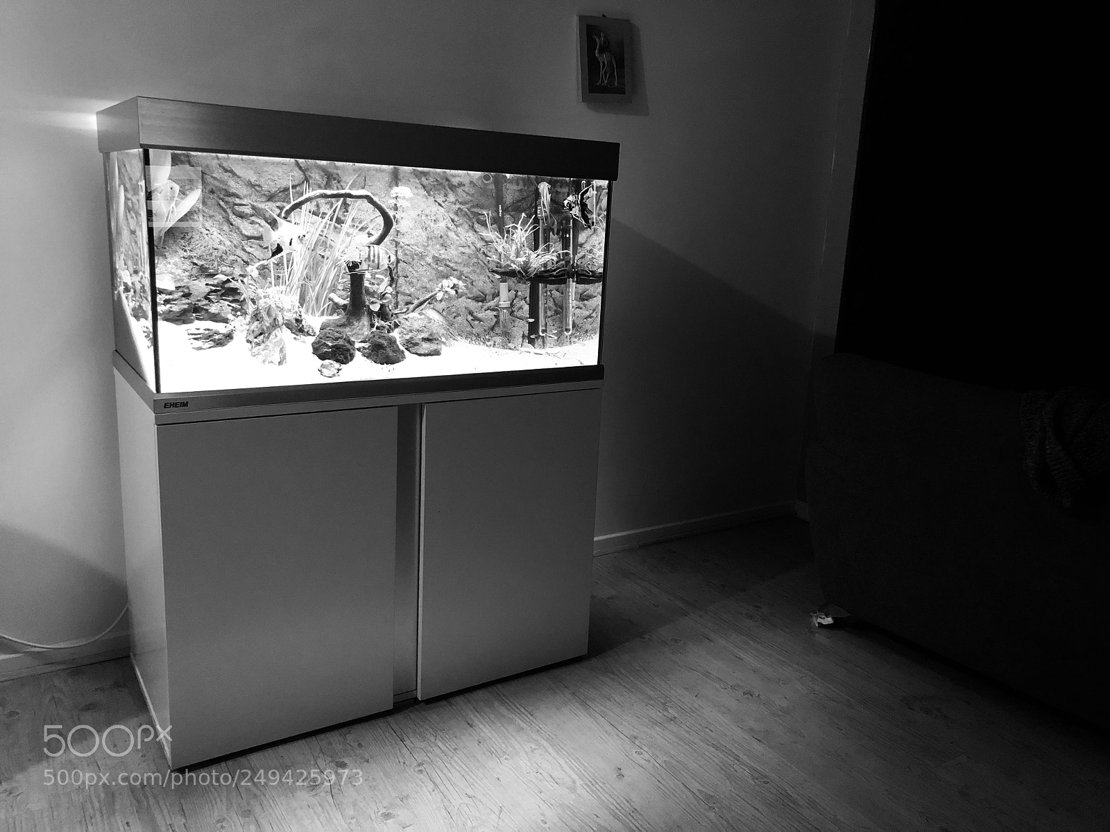 Apple iPhone X sample photo. Aquarium photography