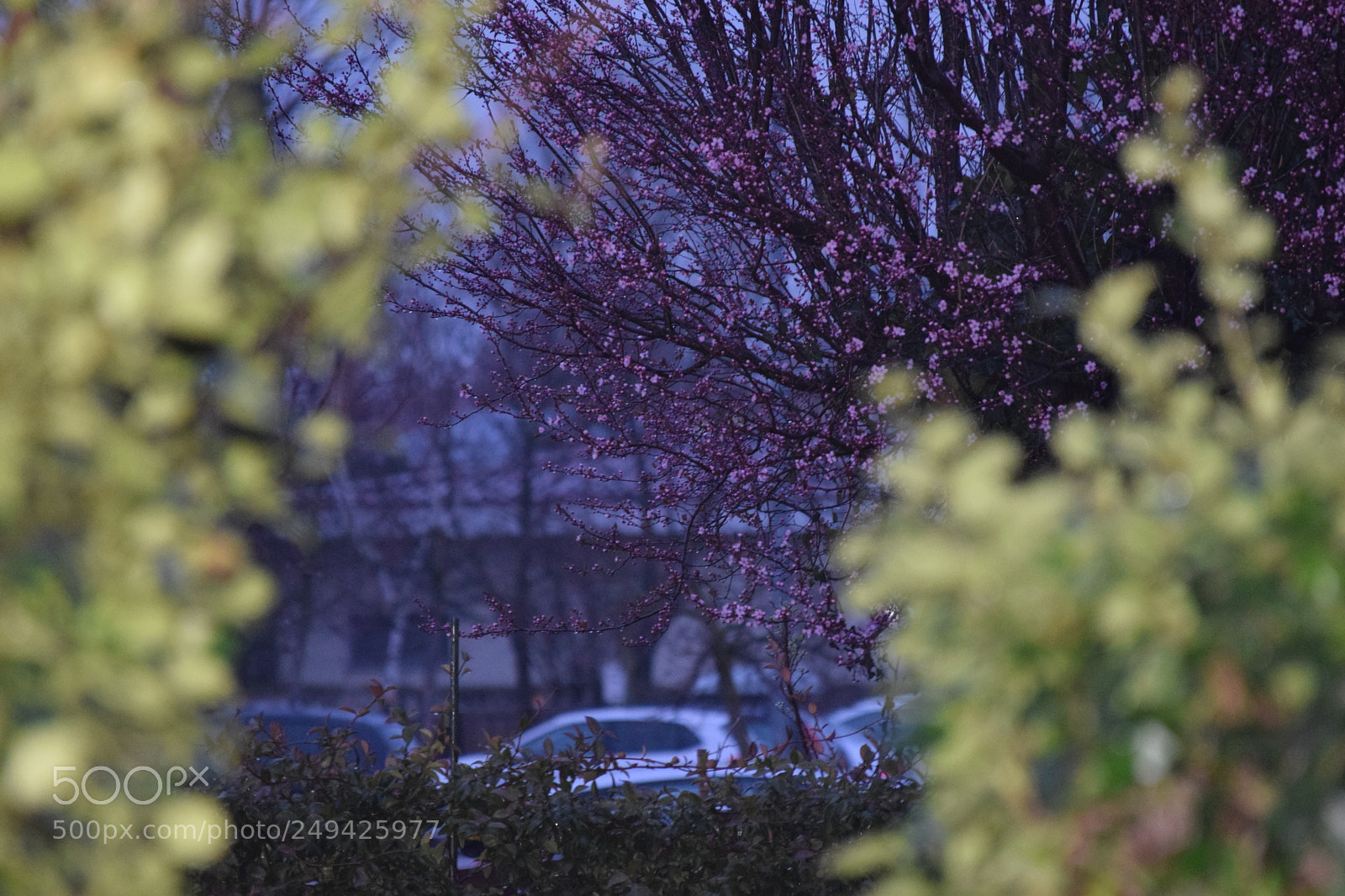 Nikon D3300 sample photo. Look around you photography