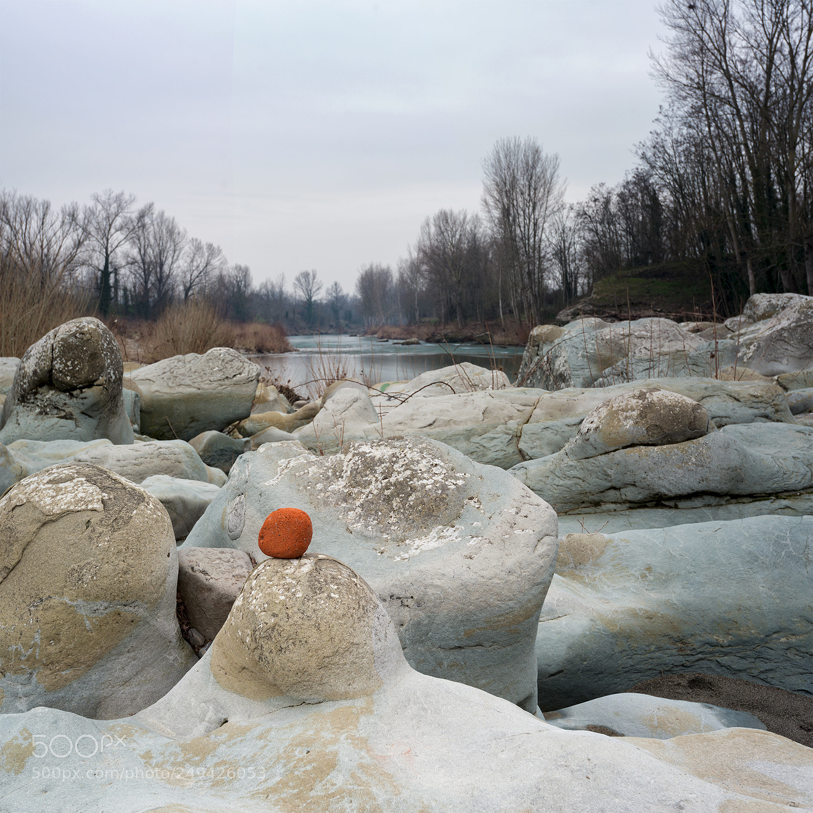 Nikon D800 sample photo. Buon riposo, febbraio 2018 photography