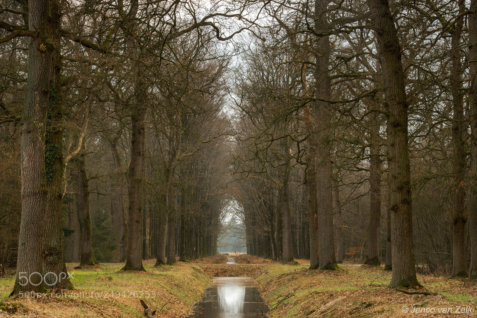 Nikon D800E sample photo. Manmade symmetry, nature the photography