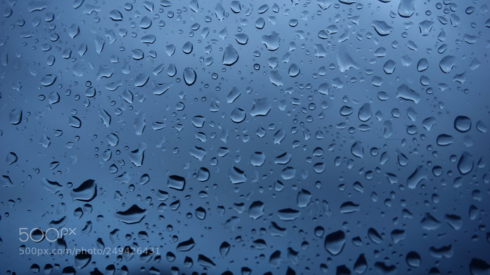 Sony a6000 sample photo. Drops of rain on photography