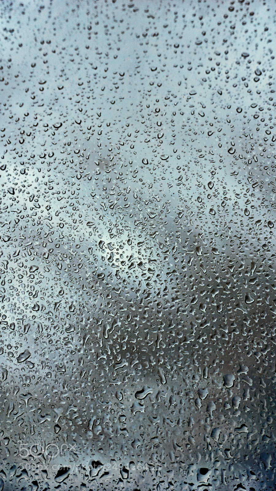 Sony a6000 sample photo. Drops of rain on photography