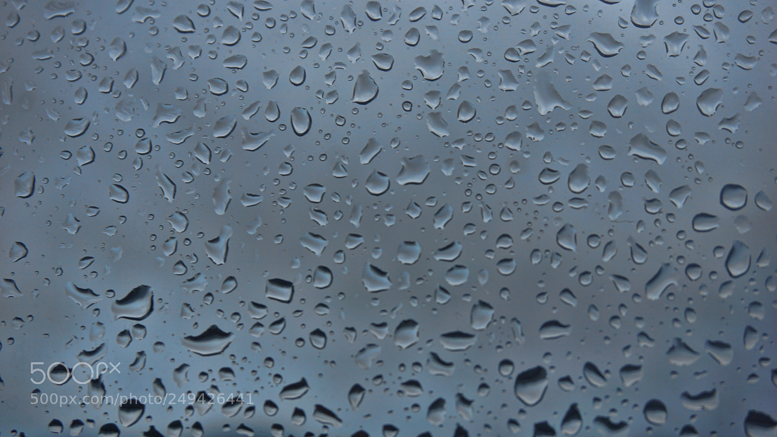 Sony a6000 sample photo. Drops of rain on photography