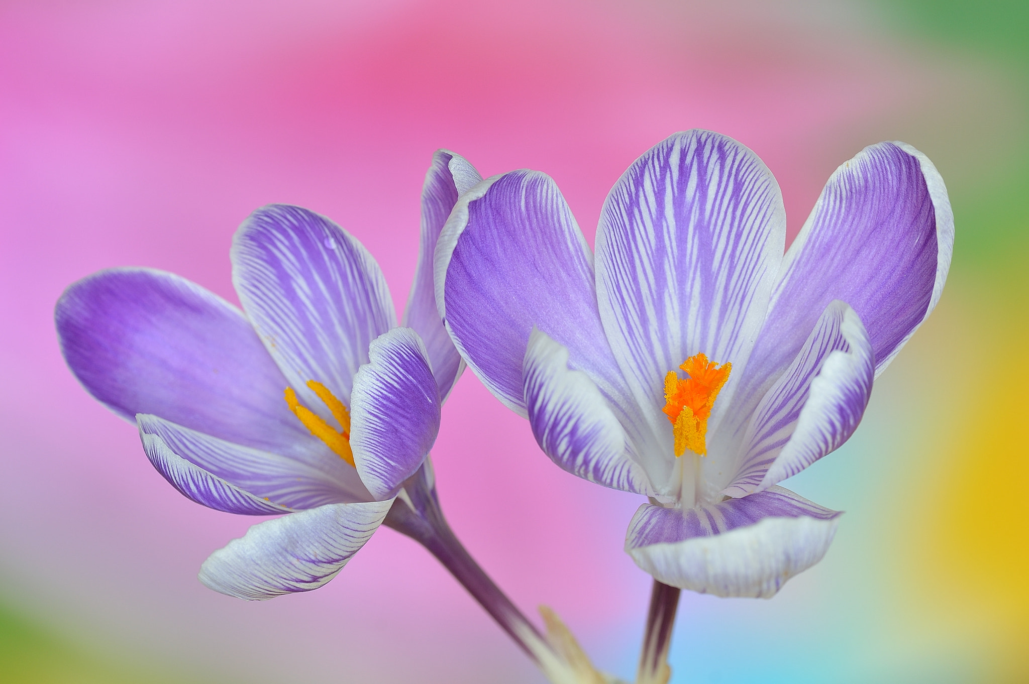 Nikon D3200 sample photo