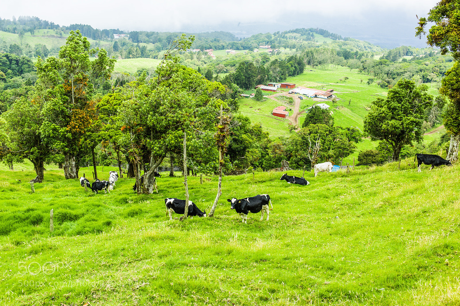 Leica M9 sample photo. Farm costa rica photography